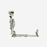 SKELETON DECORATION SET HANGING
