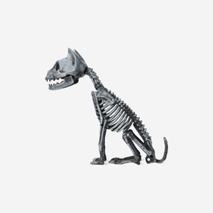 Gümüş Kedi İskeleti