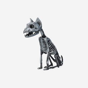 Gümüş Kedi İskeleti