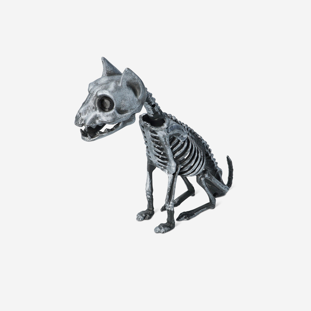 Gümüş Kedi İskeleti