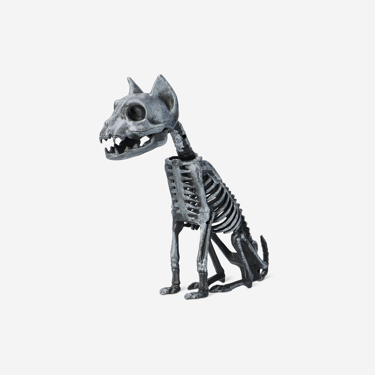 Gümüş Kedi İskeleti
