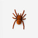 SPIDER VIBRATING