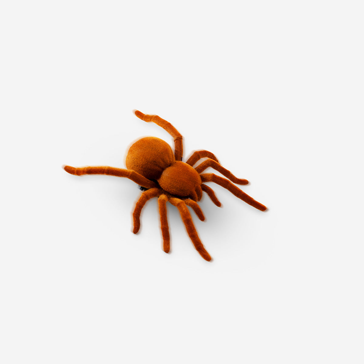 SPIDER VIBRATING