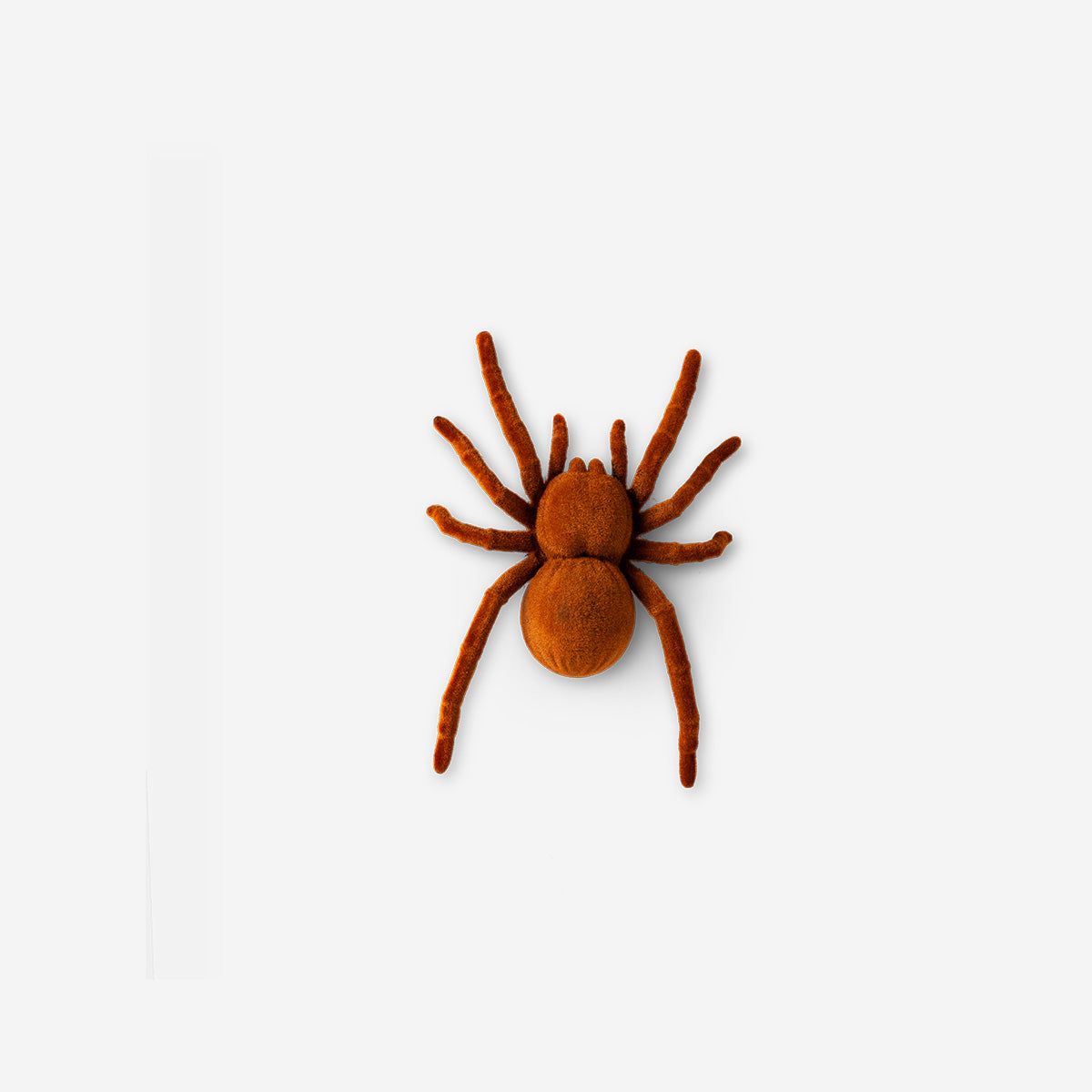 SPIDER VIBRATING