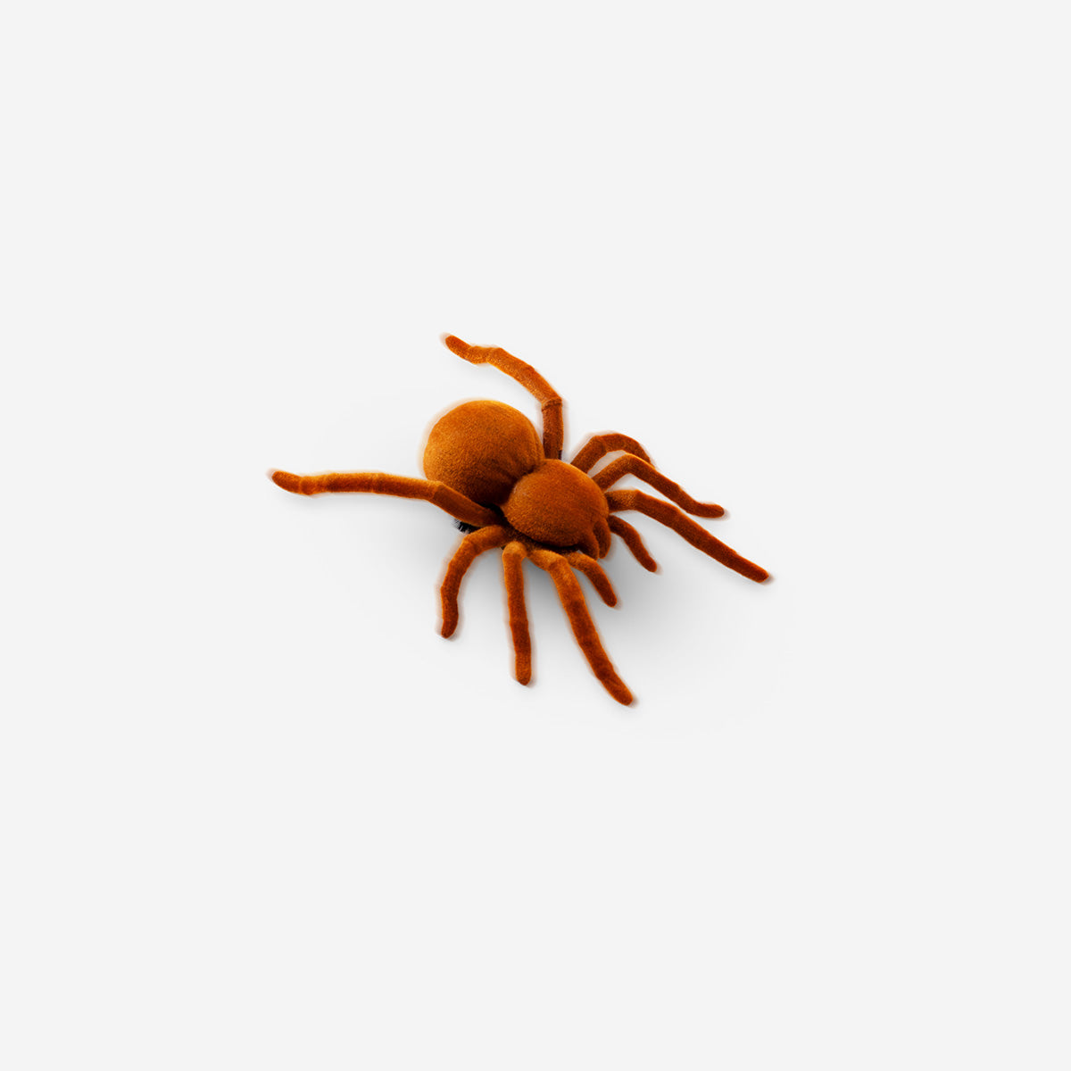 SPIDER VIBRATING