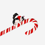 PEN STRIPED CANDY CANE W. CAT