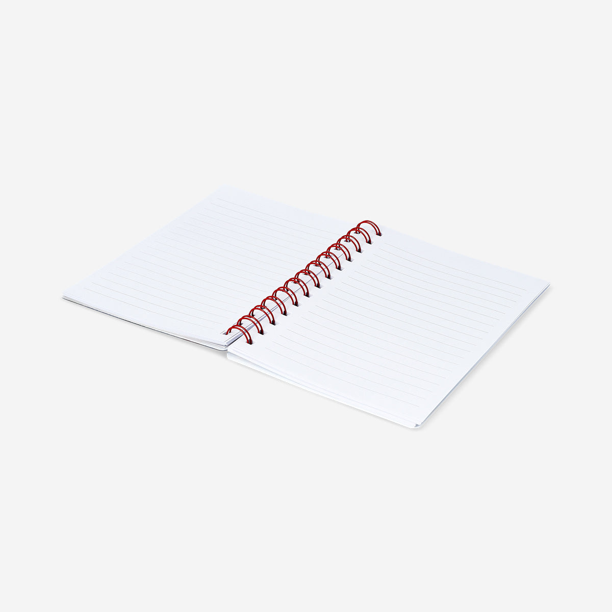 NOTEBOOK LENTICULAR