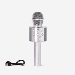 Gümüş Karaoke Mikrofonu