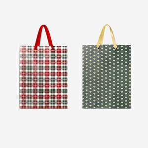 GIFT BAG COATED 25 X 33 CM 2 PCS