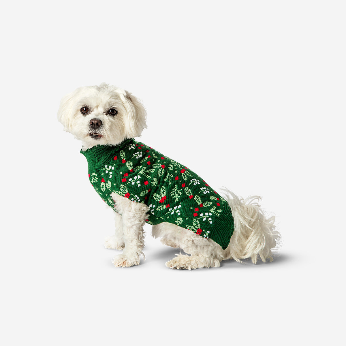 Yılbaşı Temalı Köpek Kazağı