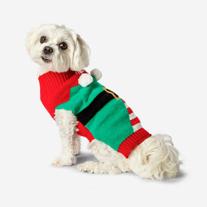 Elf Temalı Köpek Kazağı