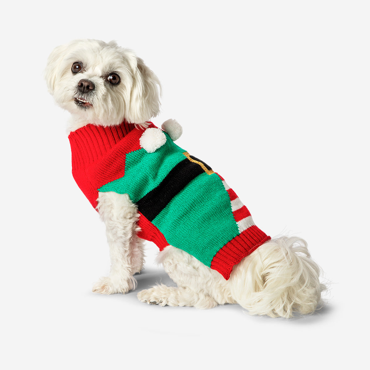 Elf Temalı Köpek Kazağı