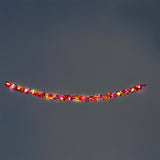 Çok Renkli Parıltılı LED Işık Zinciri