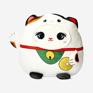 TEDDY CAT HOLDING A COIN 36 CM