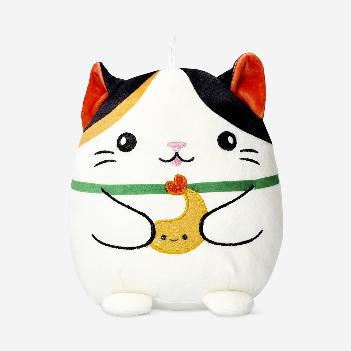 TEDDY CAT WITH A SHRIMP