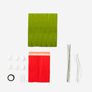 DIY PAPER FLOWER KIT VALENTINE