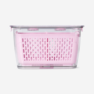 CONTAINER WITH STRAINER FOR FRIDGE MEDIUM