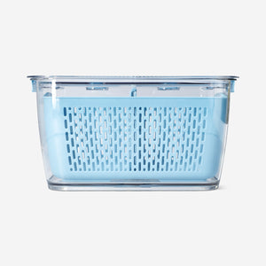 CONTAINER WITH STRAINER FOR FRIDGE LARGE