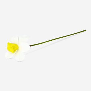 Decorative daffodil flower - 30 cm