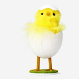 Decorative chick in eggshell