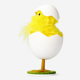 Decorative chick in eggshell