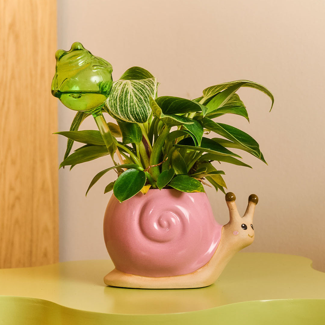 Ceramic snail flowerpot