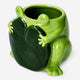 Ceramic frog flowerpot