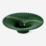 Kendi Avokadonu Yetiştirme Kiti