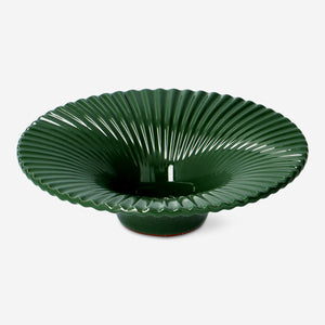 Kendi Avokadonu Yetiştirme Kiti