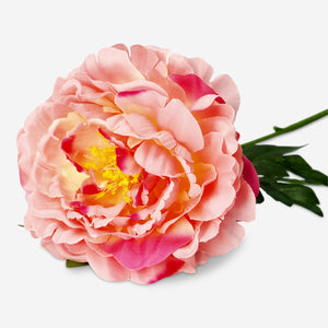 Yapay Pembe Karanfil