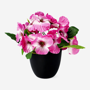 Pembe Yapay Saksıda Çiçek