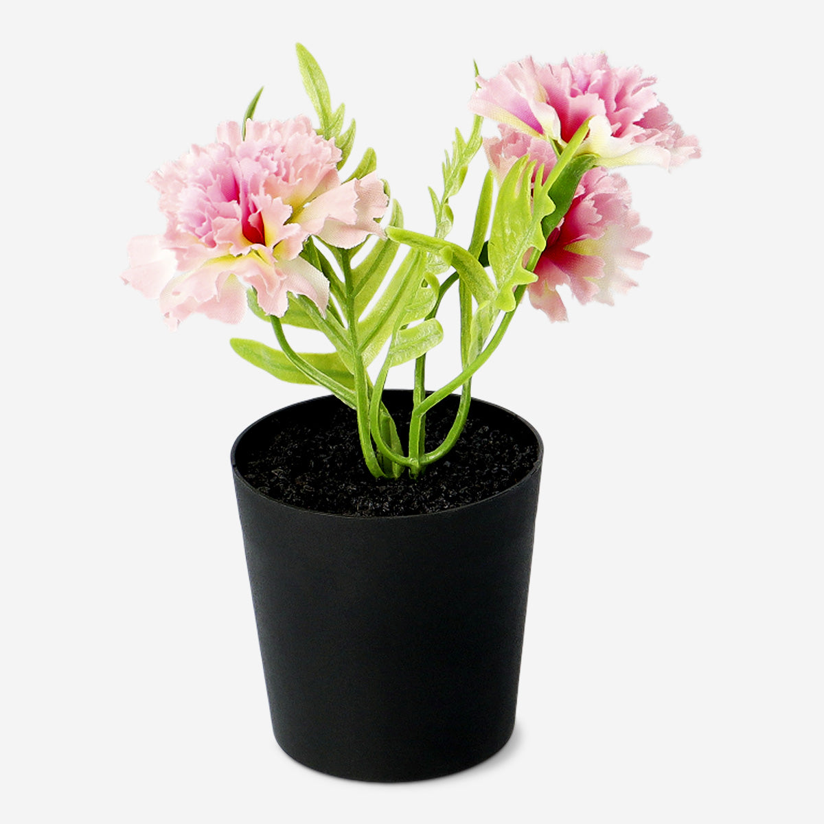 Decorative plant with pink flowers - 15 cm