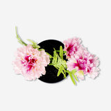 Decorative plant with pink flowers - 15 cm