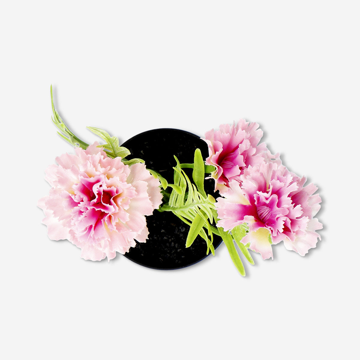 Decorative plant with pink flowers - 15 cm