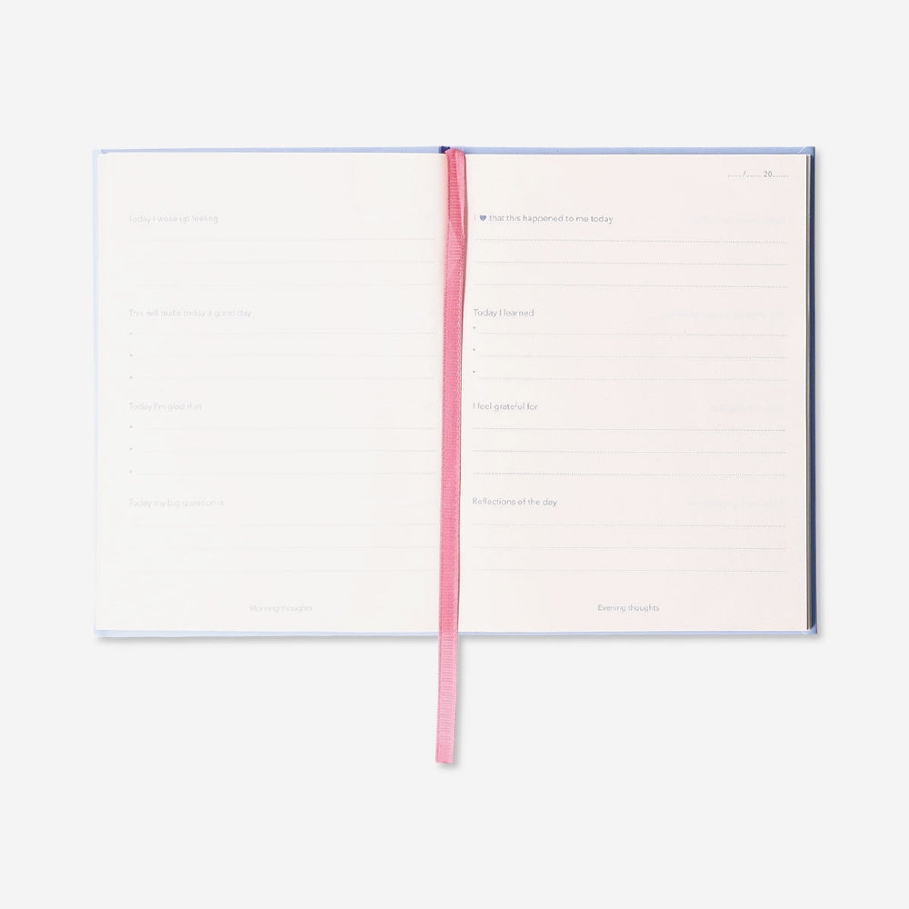 Five-minute diary