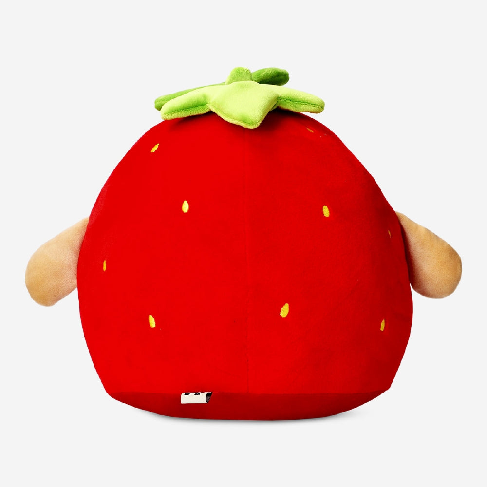 TEDDY CAPYBARA DRESSED AS A STRAWBERRY