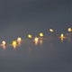String lights - Pink and yellow flowers 