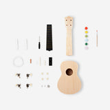 Kendin Boya Ukulele