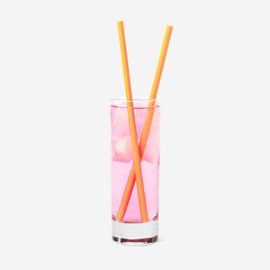 8'li Tekrar Kullanılabilir Plastik Pipet