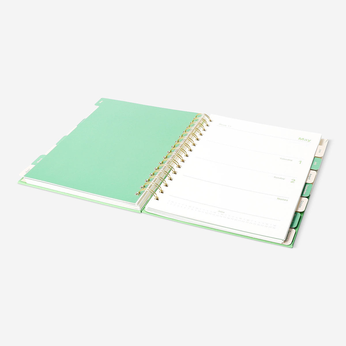 Green study planner 2026-2027 - English
