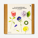 DIY paper flowers kit