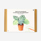DIY crochet plant - Monstera 