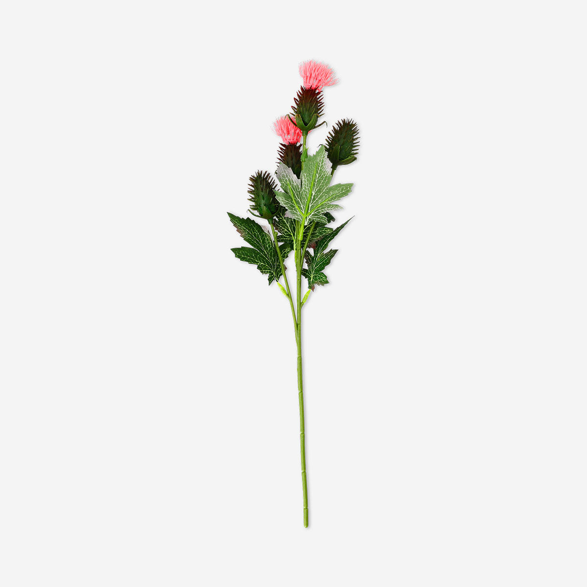 Decorative flower - Thistle