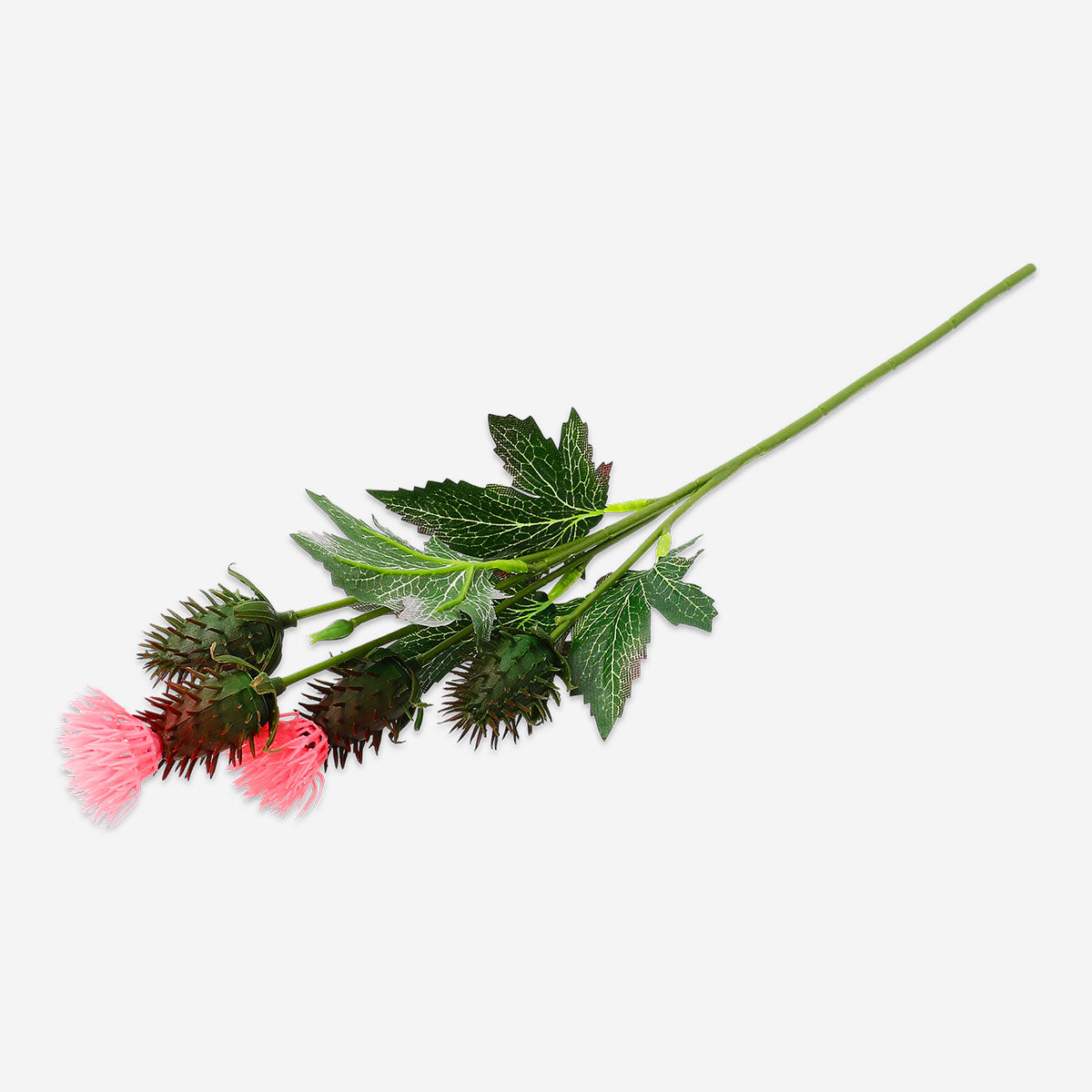 Decorative flower - Thistle