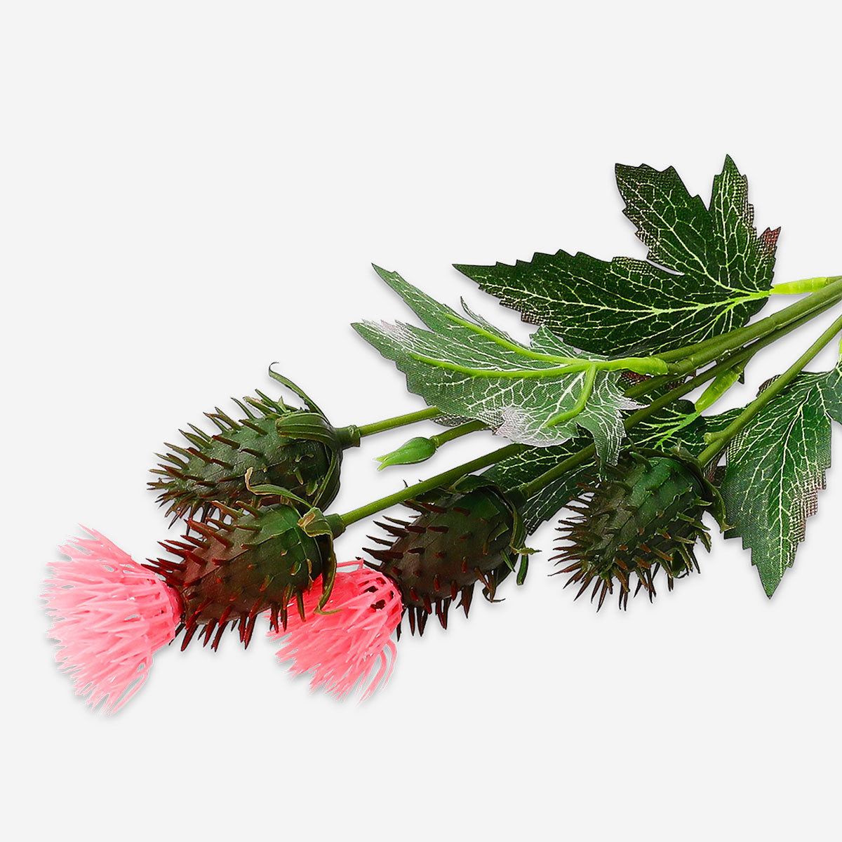 Decorative flower - Thistle
