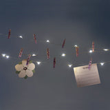 String lights - Purple clips