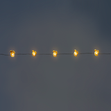 String lights - Brown squirrels 
