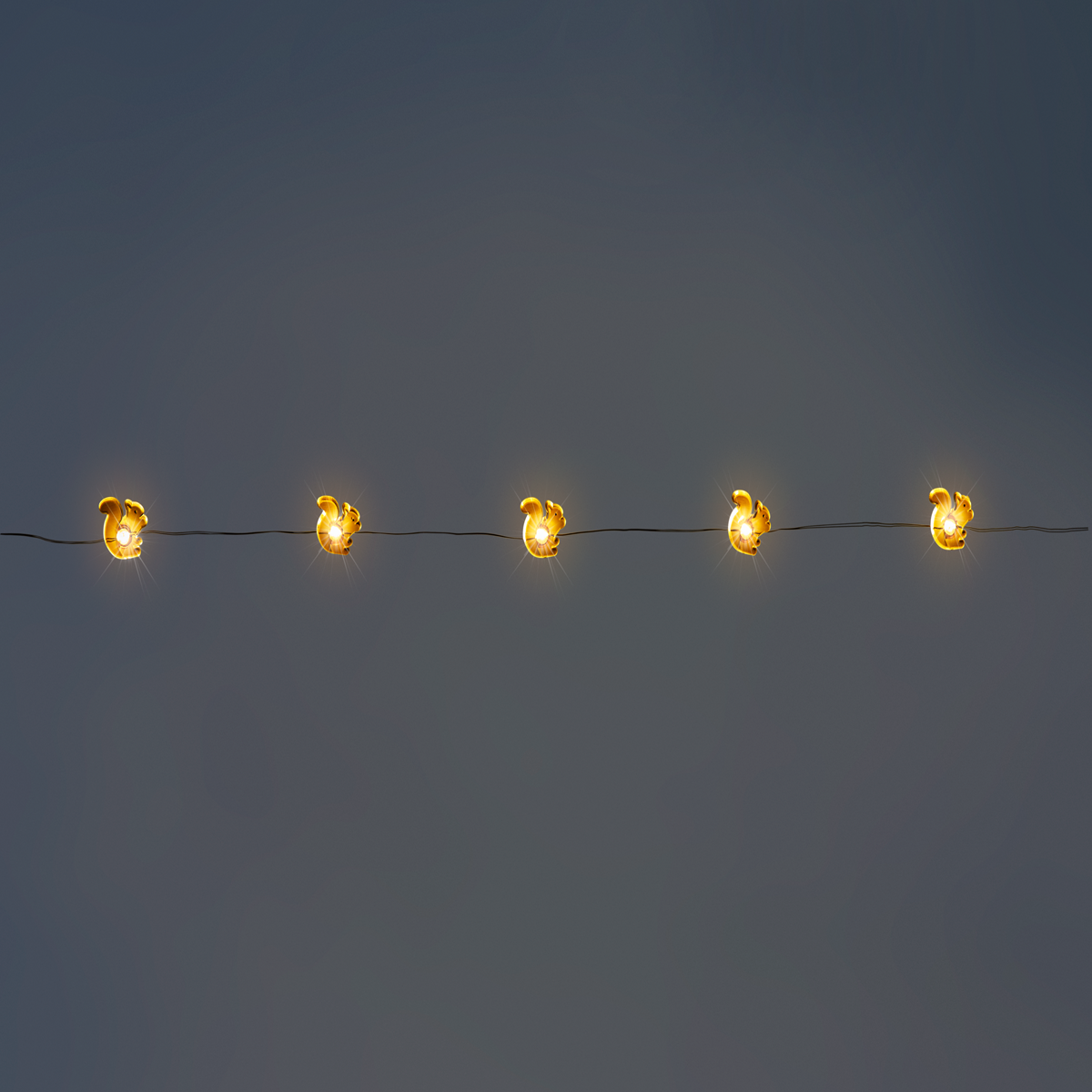 String lights - Brown squirrels 