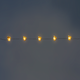 String lights - Brown squirrels 