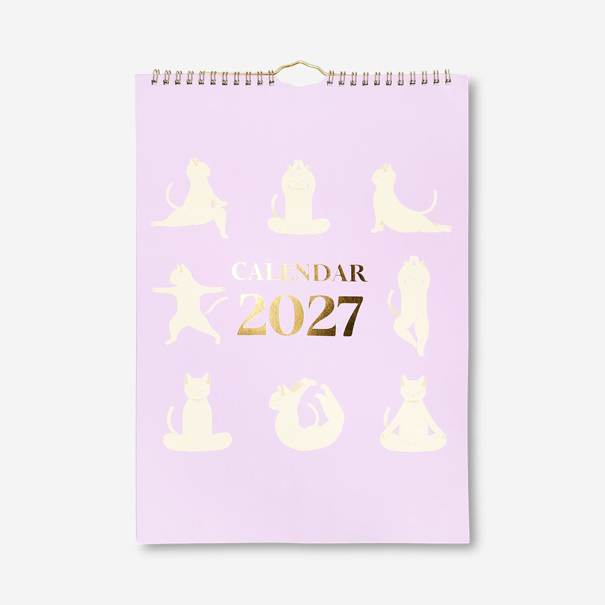 Yoga Yapan Kedi Aylık Duvar Takvimi 2027